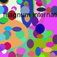 magnum international developments