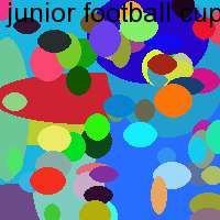 junior football cup